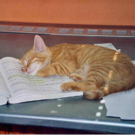 Dm Svet Github - Ocean Patterns - Elegant Retina Collection