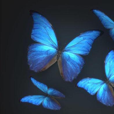 Nivedha V Nivedha V Github