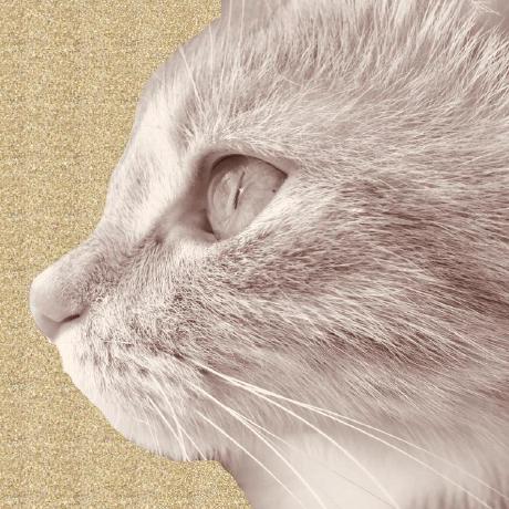 Lanalem Svetlana Trotsenko Github - Best Ocean Designs in 4K