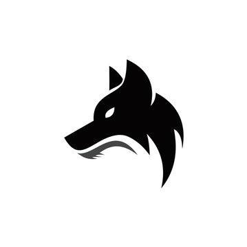 Metawolfbangalore Meta Wolf Github - Retina Ocean Designs for Desktop