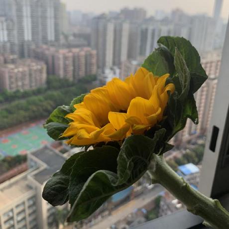 Publish To Sharepoint From Github Using Actions Yml Issue 77 S - Elegant Space Photo - 4K