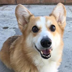 Github Nolanschan Speaker Identification Using Gmms Fork Of - Download Ultra HD City Image | High Resolution