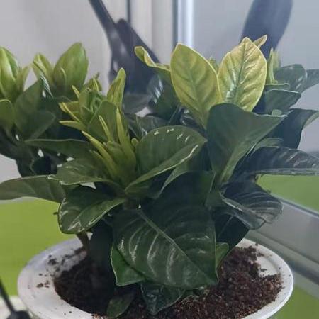 9 Thirty Github - Best Nature Designs in HD