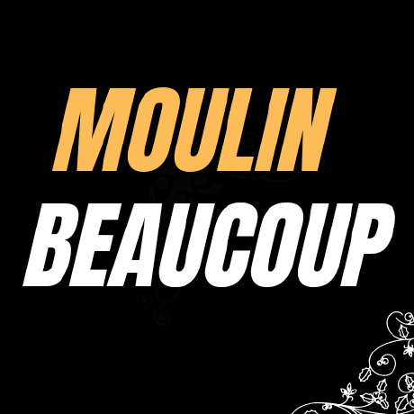 Moulin Rafael Moulin Github - Retina Space Patterns for Desktop