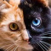 Lauramoles Laura Github - Stunning Ocean Photo - Retina