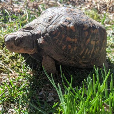 Adam Mankowski Github - Best Abstract Images in Ultra HD