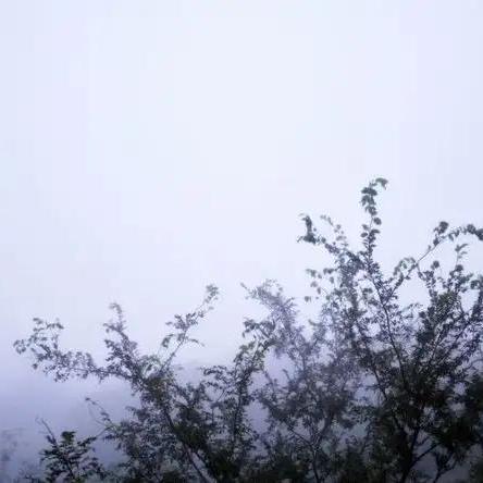 Laity One Github - Download Elegant Landscape Pattern | Mobile