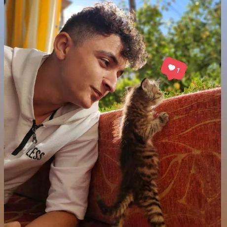 Atahan Furkan Github - Premium Gradient Art Gallery - 8K