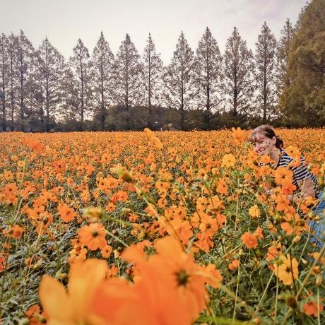 Matthiaseaton Matthias Eaton Github - Premium Nature Background Gallery - HD