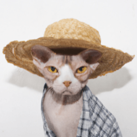 Dingus Bingus Github - City Backgrounds - Professional High Resolution Collection