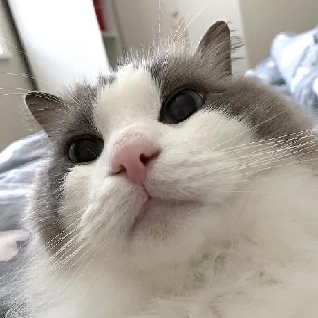 Github Jeanette Armyvet Webauth Csis6 Web Authoring - Nature Wallpapers - Perfect Mobile Collection