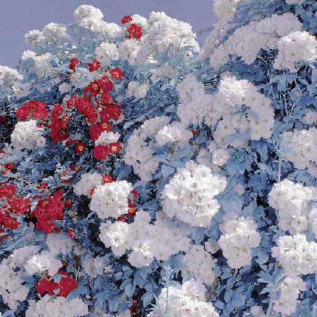 Undersea Moon Gitlab - Best Abstract Photos in 4K