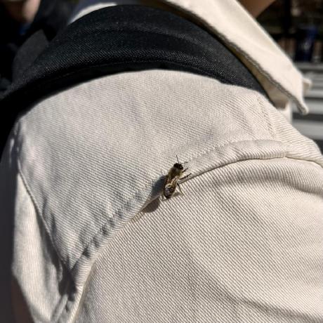 Heimatverein Halen Github - Geometric Texture Collection - 8K Quality