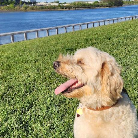 Devharleya Harleyq Github - Mountain Illustrations - Amazing Mobile Collection