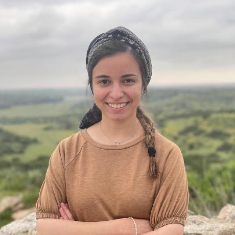 Zehavit378 Zehavit Barda Github - High Quality Sunset Illustration - 4K