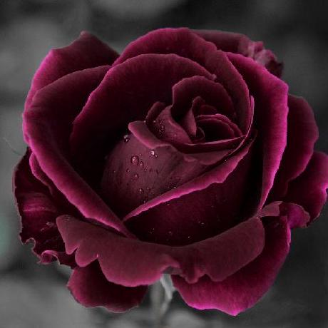 Chiefchula Thomas Chula Github - High Quality Mountain Illustration - 8K