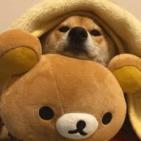 Kossa Soft Github - Artistic Mobile Sunset Photos | Free Download