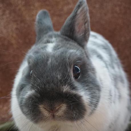 Github Mochi Frontend Readme Practice - Ocean Background Collection - Desktop Quality