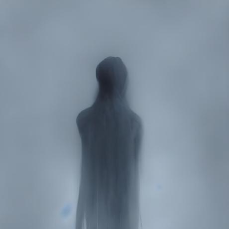 Mustard Innovations Github - Premium Nature Photo Gallery - Retina