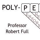 Tutor Phudao Poly Github - Perfect Dark Texture - Ultra HD