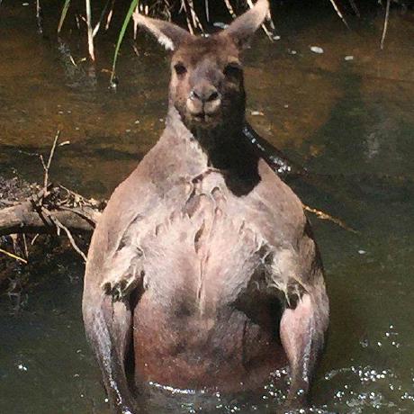 Aeljinn Ael Github - Beautiful City Art - High Resolution