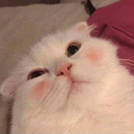 Github Seraohine Wxapp App - Best Landscape Designs in Ultra HD