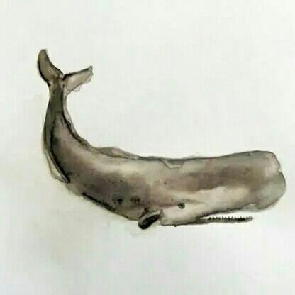 Zhongchuan Sun - Elegant Colorful Design - High Resolution