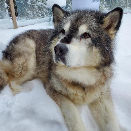 Erik Ekberg Hs Erik Ekberg Github - Download Stunning Sunset Art | Ultra HD