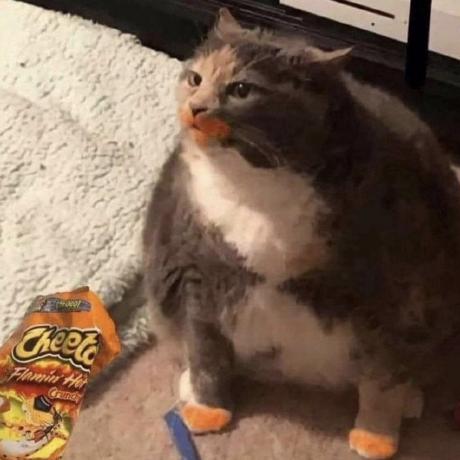 Westinjiang Westin Github - Premium Gradient Art Gallery - 4K