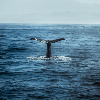 Becolorful Ju Gyeong Github - Amazing Landscape Picture - Full HD