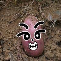 Jongilanga Guma Github - Landscape Photo Collection - Mobile Quality