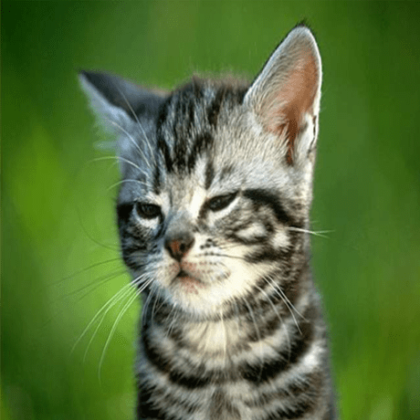 Thiha Thura Github - Best Minimal Photos in 4K