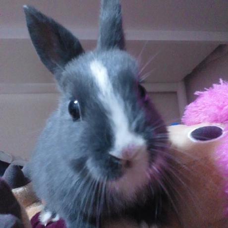 Shinoyuri Shino Github - Best Ocean Arts in 4K