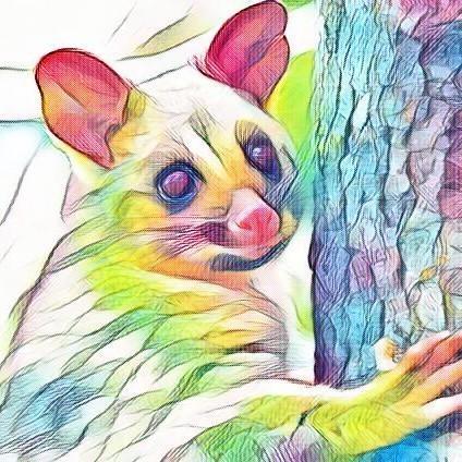 Github Rsdussart Opossum - Premium Space Pattern Gallery - 4K