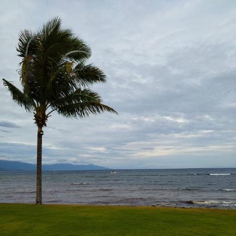 Codedruid13 Obare Geoffrey Github - Premium 4K Landscape Patterns | Free Download