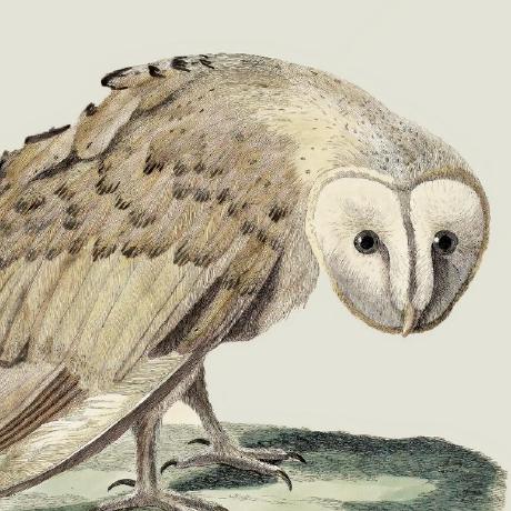 Zohar175 Zohar Github - Vintage Wallpapers - Premium Ultra HD Collection