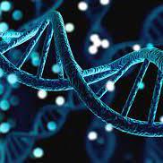 Github Jiangtiantu Factormining - Mountain Texture Collection - 4K Quality