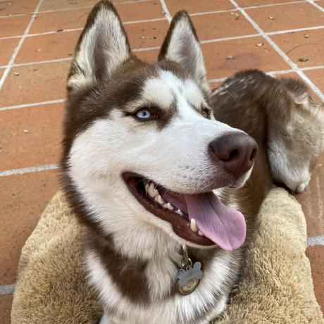 Itam Adsi 2023 Github - Premium Landscape Photo Gallery - High Resolution