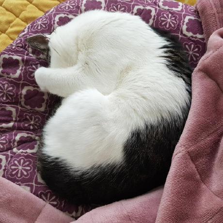 Lee Seungjae Seungjae Lee Github - Download Gorgeous Geometric Texture | HD