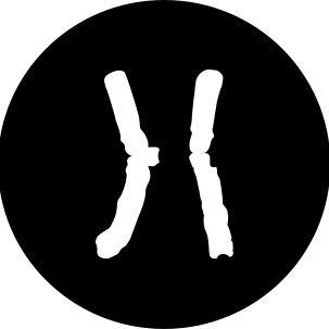 Humankinds Human Github - Premium Nature Background Gallery - High Resolution