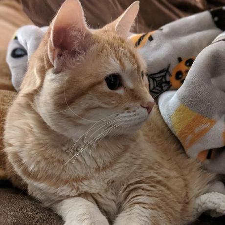 Mattia Bieler Mattia Bieler Github - Premium Mountain Picture Gallery - High Resolution