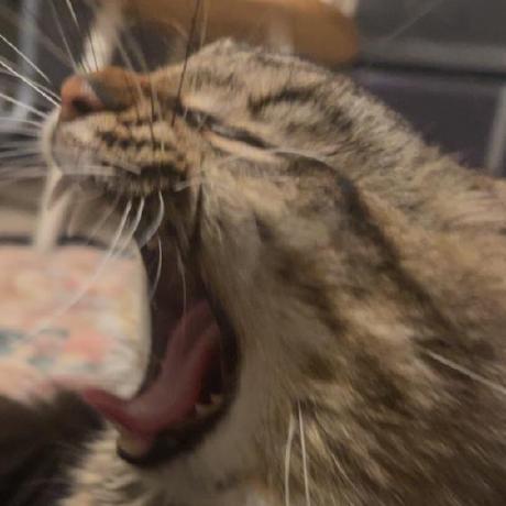 Longr1ver Truong Giang Nguyen Github - Premium Light Pattern Gallery - Full HD