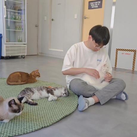 Github Jeong Rae Jeong Rae - Minimal Image Collection - Ultra HD Quality