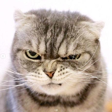 Github Yuweiyin Yuweiyin Github Com Yuwei Yin Joey - Abstract Patterns - Premium Retina Collection