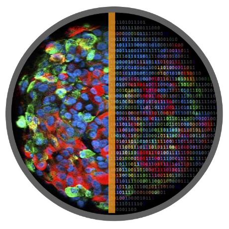 Github Ntranoslab Esm Variants - Gorgeous Gradient Art - Retina