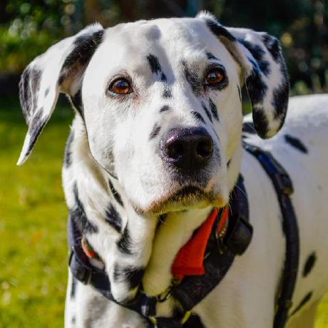 Sven Berger Sven Oliver Berger Github - Best Colorful Illustrations in Retina