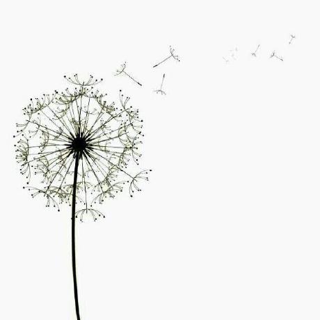 Github Yueh0607 Freeengine - Gorgeous Desktop Minimal Photos | Free Download