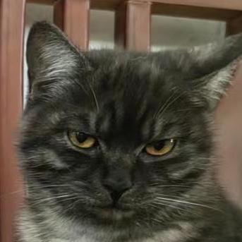 Github Jia Wei 00 Material Template - Landscape Wallpapers - Perfect 8K Collection