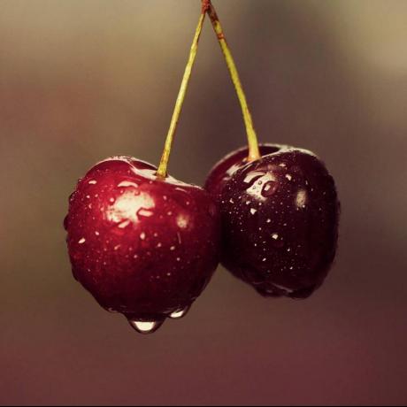 Github Cherries Man Cherries Man Github Io - Modern Retina City Pictures | Free Download