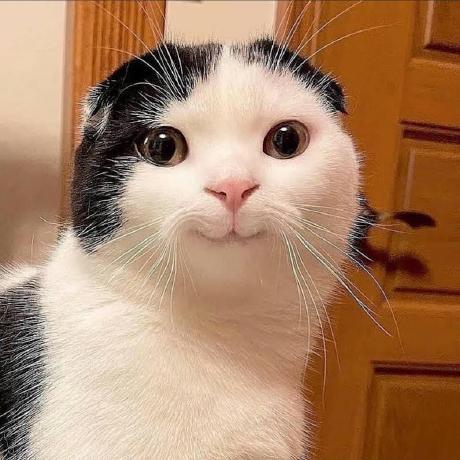 Donado10 Adama Github - Best Dark Arts in HD